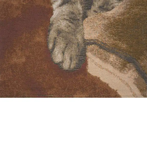 Sleeping Cat Brown I Cushion | Close Up 3