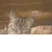 Sleeping Cat Brown I Cushion | Close Up 5