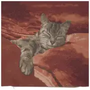 Sleeping Cat Red I Cushion - 19 in. x 19 in. Cotton by Charlotte Home Furnishings | Close Up 1