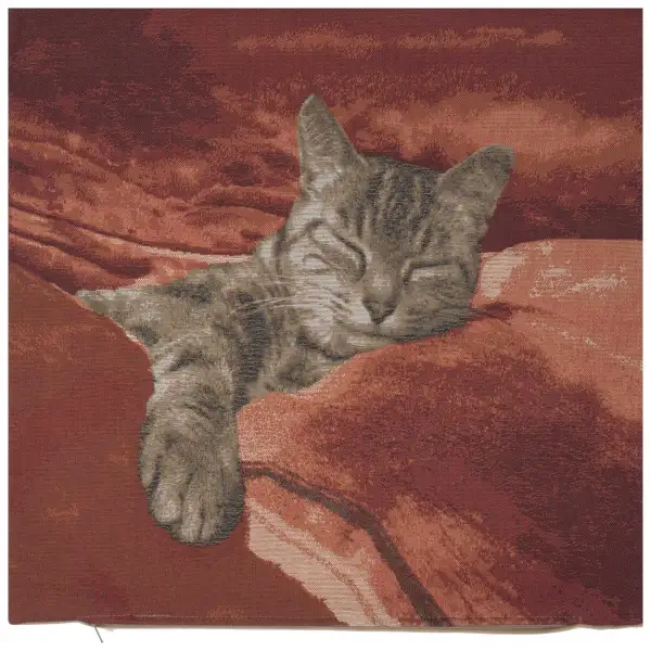 Sleeping Cat Red I Cushion - 19 in. x 19 in. Cotton by Charlotte Home Furnishings | Close Up 1