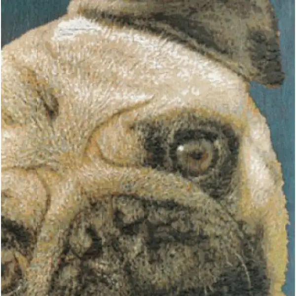 Pugs Face Blue II Cushion | Close Up 3