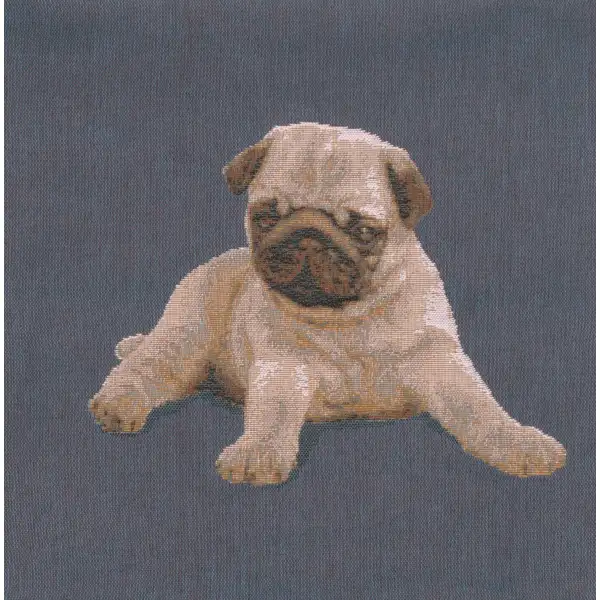 Puppy Pug Blue Cushion | Close Up 1