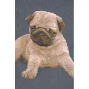 Puppy Pug Blue Cushion | Close Up 2