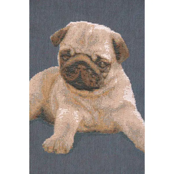 Puppy Pug Blue Cushion | Close Up 2