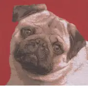 Pugs Face Red I Cushion | Close Up 1