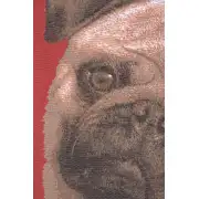 Pugs Face Red I Cushion - 18 in. x 18 in. Cotton by Charlotte Home Furnishings | Close Up 2