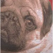 Pugs Face Red I Cushion - 18 in. x 18 in. Cotton by Charlotte Home Furnishings | Close Up 3