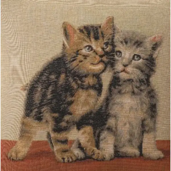 Two kittens I Cushion | Close Up 1