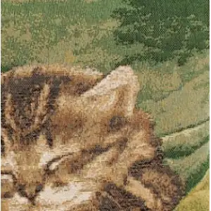 Sleeping Cat Green Tapestry Cushion Cover - 14 in. x 14 in. Cotton by Charlotte Home Furnishings Inc