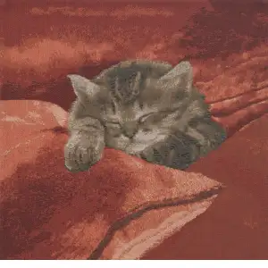 Sleeping Cat Red II Tapestry Cushion Cover - 14 in. x 14 in. Cotton by Charlotte Home Furnishings Inc
