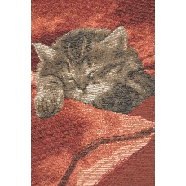 Sleeping Cat Red II Cushion | Close Up 2