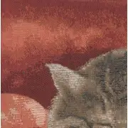 Sleeping Cat Red II French Couch Cushion | Close Up 3