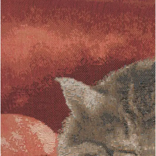 Sleeping Cat Red II Cushion | Close Up 3