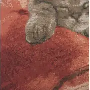 Sleeping Cat Red II French Couch Cushion | Close Up 4
