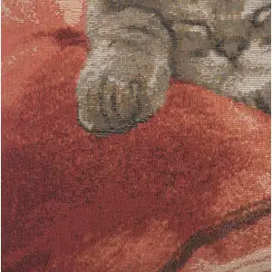 Sleeping Cat Red II Tapestry Cushion Cover - 14 in. x 14 in. Cotton by Charlotte Home Furnishings Inc