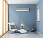 Bird Couple French Couch Cushion | Life Style 1