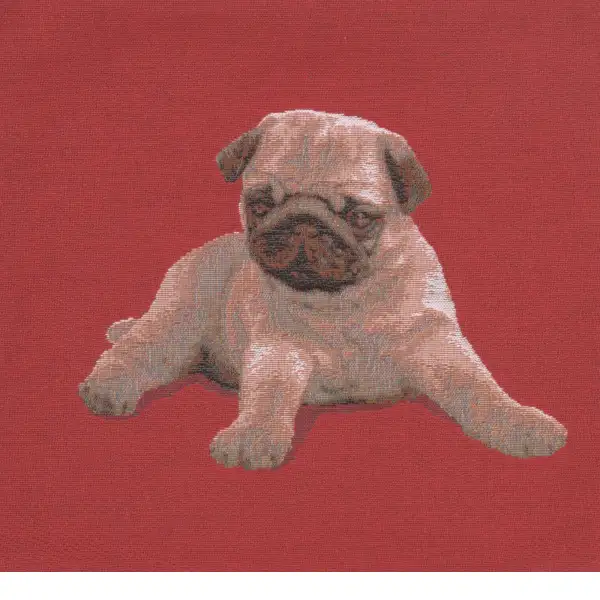 Puppy Pug Red Cushion - 14 in. x 14 in. Cotton by Charlotte Home Furnishings | Close Up 1