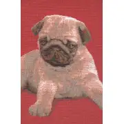 Puppy Pug Red Cushion | Close Up 2