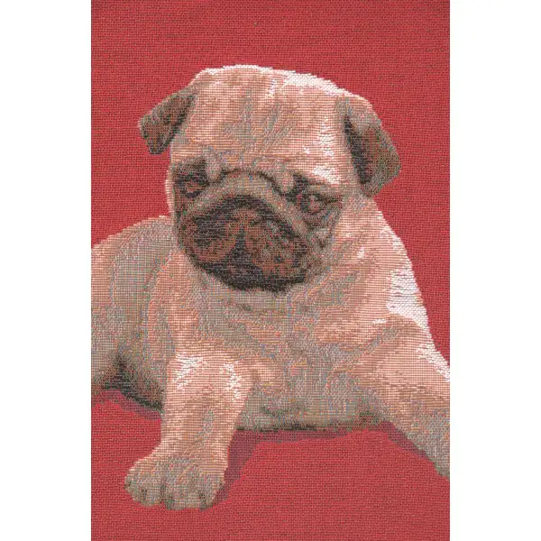 Puppy Pug Red Cushion - 14 in. x 14 in. Cotton by Charlotte Home Furnishings | Close Up 2