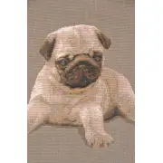 Puppy Pug Grey Cushion - 14 in. x 14 in. Cotton by Charlotte Home Furnishings | Close Up 2