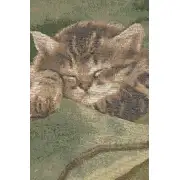 Sleeping Cat Blue Cushion | Close Up 2