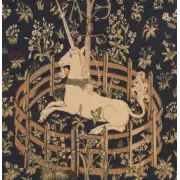 Captive Unicorn Belgian Sofa Pillow Cover | Close Up 1