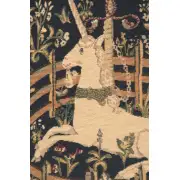 Captive Unicorn Belgian Sofa Pillow Cover | Close Up 2