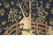 Captive Unicorn Belgian Sofa Pillow Cover | Close Up 4