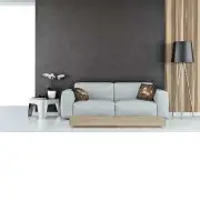 Captive Unicorn Belgian Sofa Pillow Cover | Life Style 1