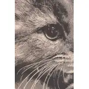 Mister Whiskers Stretched Wall Tapestry | Close Up 2