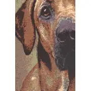 Soft Eyes Stretched Wall Tapestry | Close Up 2