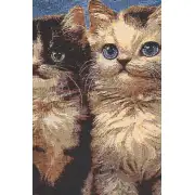 Purrfect Company Decorative Floor Pillow Cushion Cover | Close Up 2