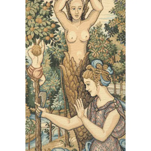 Vertumnus Belgian Tapestry Wall Hanging - 57 in. x 51 in. Cotton/Vicose/Polyester by Jan Van Huysum | Close Up 1