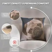 Pugs Face Blue Cushion | Feature