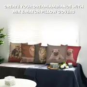 Pugs Face Grey  Cushion | Orientation