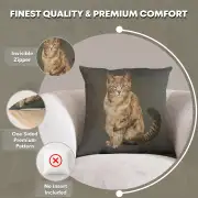 Tabby Cat Sitting Dark Grey French Couch Cushion | Feature