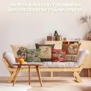 Sleeping Cat Green French Couch Cushion | Orientation