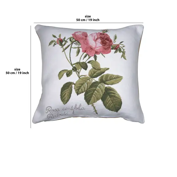 Rose On Right White Cushion | 19x19 in