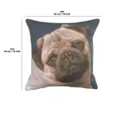 Pugs Face Blue Cushion | 18x18 in