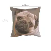 Pugs Face Grey Cushion - 19 in. x 19 in. Cotton by Charlotte Home Furnishings | 19x19 in