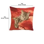 Sleeping Cat Red I Cushion - 19 in. x 19 in. Cotton by Charlotte Home Furnishings | 19x19 in