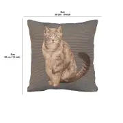 Tabby Cat Sitting Dark Grey French Couch Cushion | 19x19 in