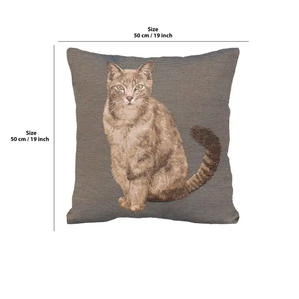 Tabby Cat Sitting Dark Grey Cushion - 19 in. x 19 in. Cotton by Charlotte Home Furnishings | 19x19 in