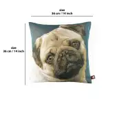 Pugs Face Blue II French Couch Cushion | 14x14 in