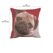 Pugs Face Red  Cushion | 14x14 in