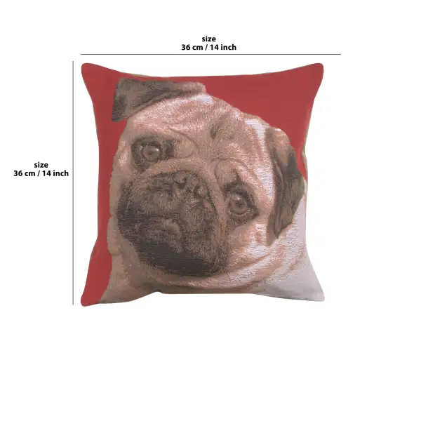 Pugs Face Red  Cushion | 14x14 in