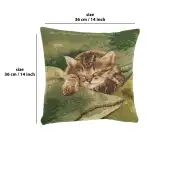 Sleeping Cat Green French Couch Cushion | 14x14 in