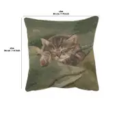 Sleeping Cat Blue Cushion | 14x14 in