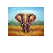 African Elephant Canvas Art