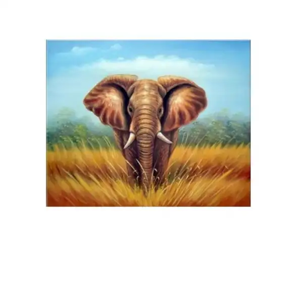 African Elephant Canvas Wall Art